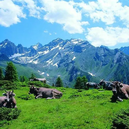 Apartment Schönes Im Ruhigen Kaunertal