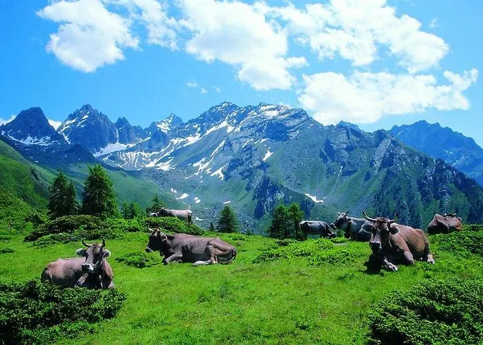 Apartamento S Lois Schoenes Im Ruhigen Kaunertal